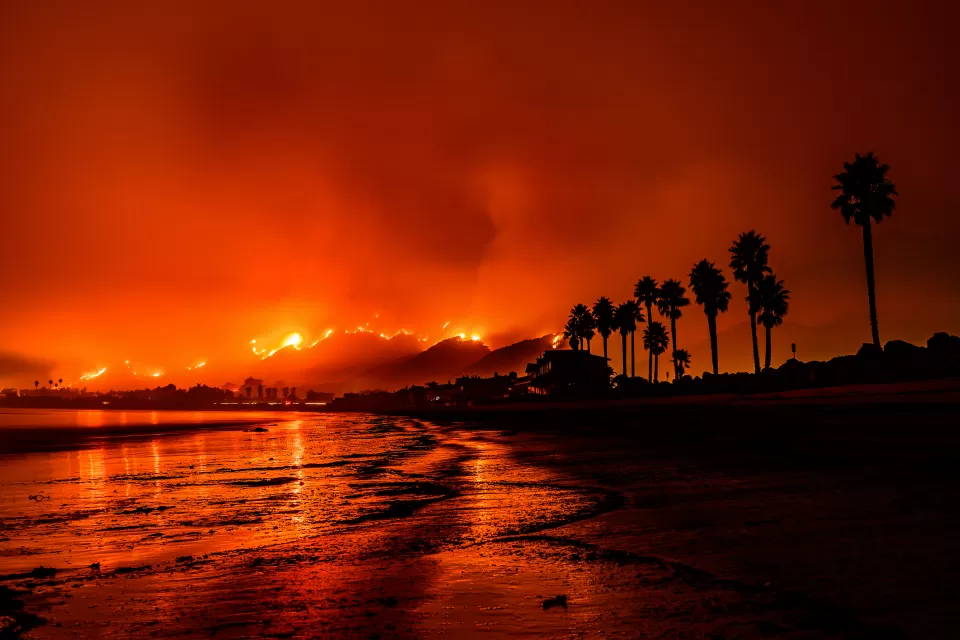 Palm trees on Santa Barbara beach against the red glow of a wildfire